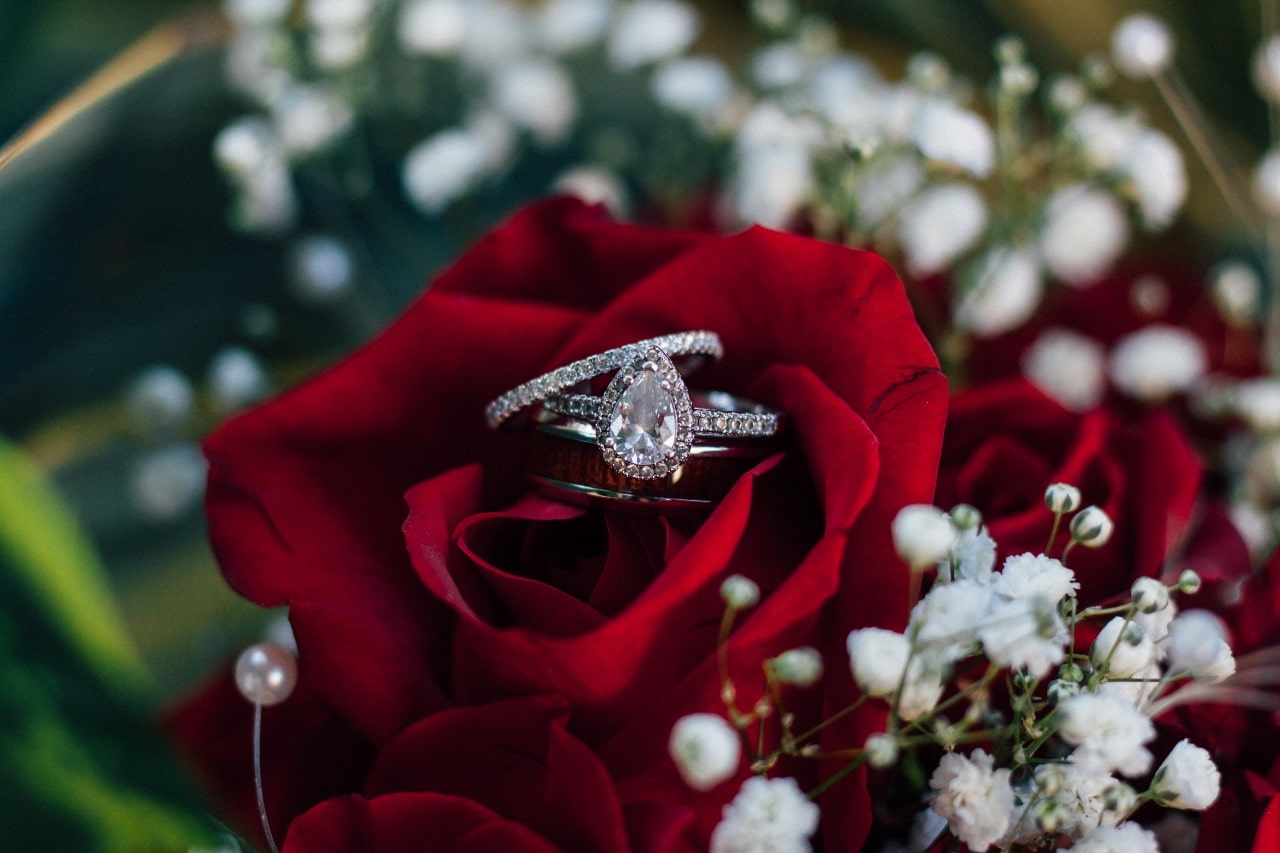 A close up of a bridal set on top of the red rose: white gold halo pear shaped diamond engagement ring and eternity band.